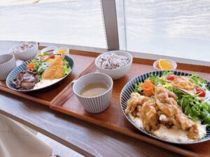 道の駅黒井山グリーンパーク【そらいろカフェ】での初ランチはチキン南蛮定食と海老フライ＆ハンバーグ定食